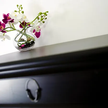 Couette-café Lost In Trastevere